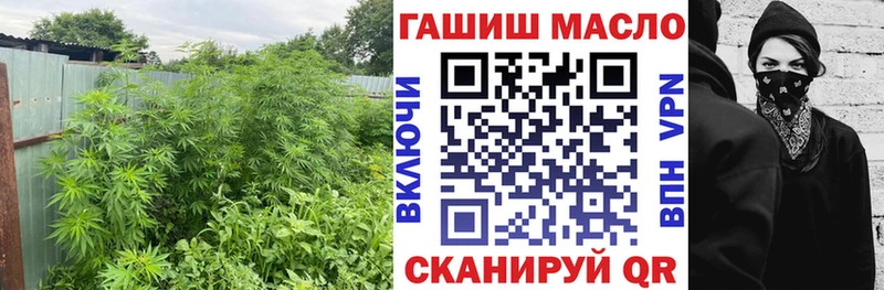 Дистиллят ТГК THC oil  наркошоп  Кукмор 