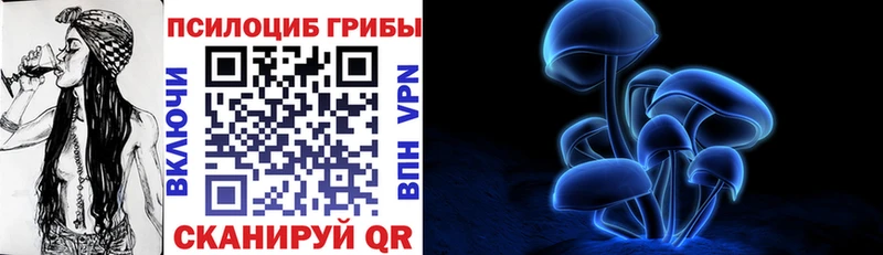 Псилоцибиновые грибы Psilocybe  наркота  Кукмор 